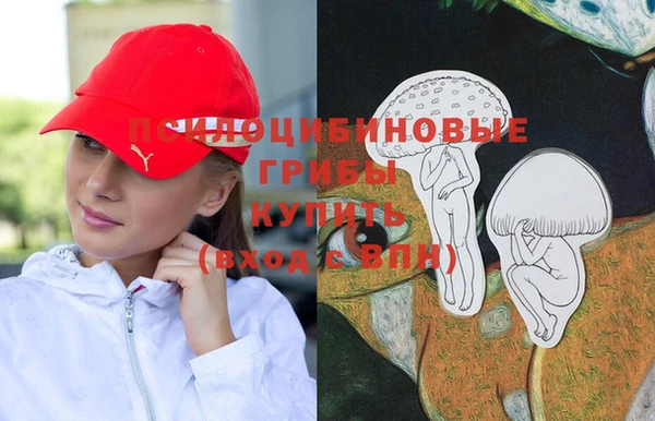 прущая мука Аркадак