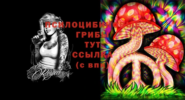 эйфоретик Каменск-Шахтинский