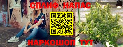 apvp Абакан