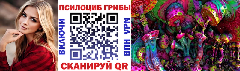 Псилоцибиновые грибы мицелий купить закладку Апатиты